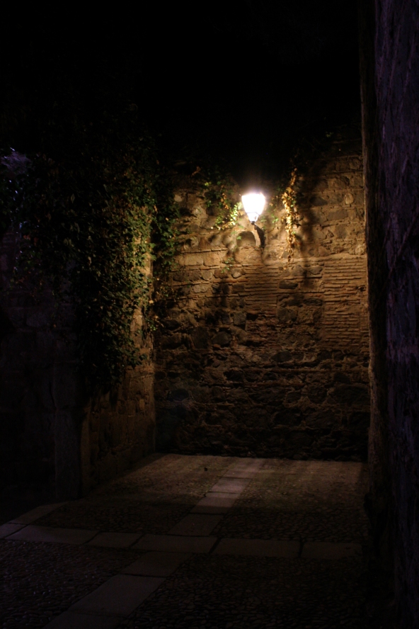 Inside one of the gates at night